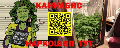 Альфа ПВП Камышлов