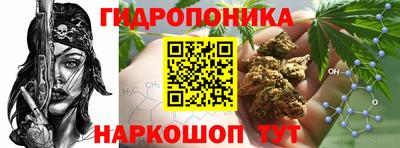 СК Кандалакша