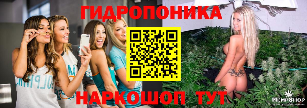 Канабис сатива  МАРИХУАНА сатива  Вход с VPN  Керчь  Бошки Шишки тримм 
